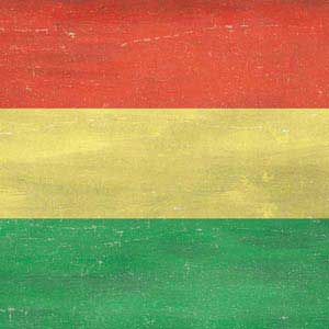 Bolivia Flag Distressed Galaxy Z Flip4 5G Skin